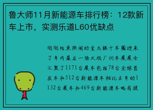 鲁大师11月新能源车排行榜：12款新车上市，实测乐道L60优缺点