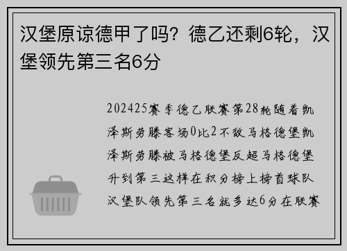 汉堡原谅德甲了吗？德乙还剩6轮，汉堡领先第三名6分
